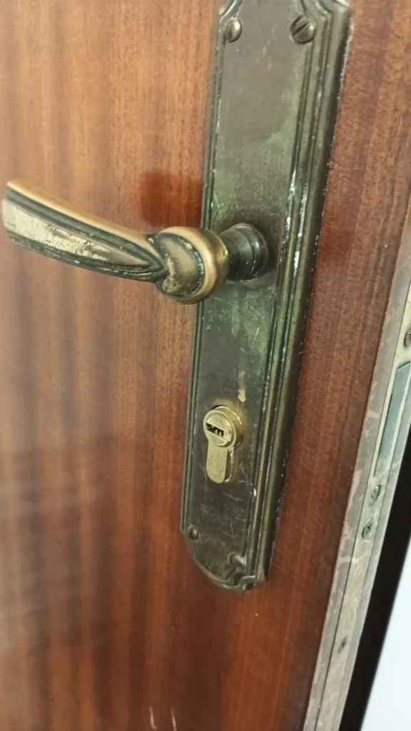 Manilla y bómbin europeo en una puerta de madera